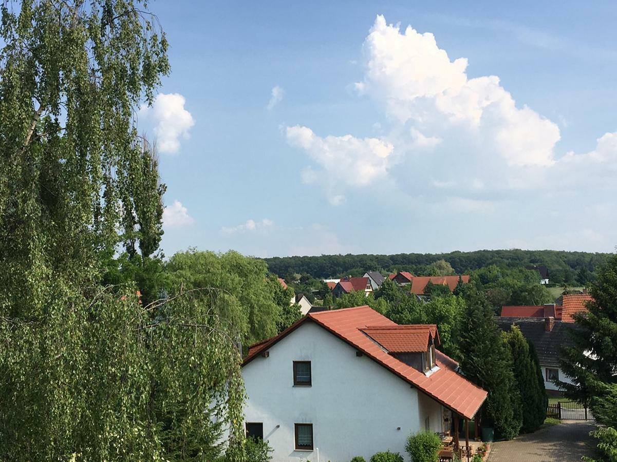 Ferienwohnung zur Himmelsscheibe Ziegelroda Exterior foto